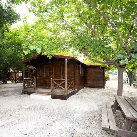 Cabanas Rurales - Las Taneas Yeste Luaran gambar